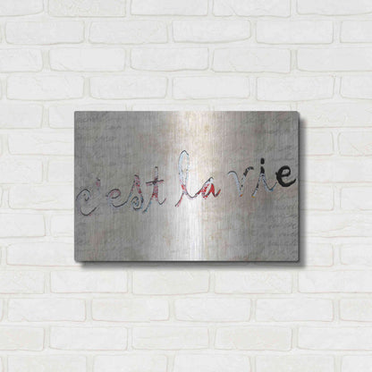 Luxe Metal Art 'C'est La Vie' by Karen Smith, Metal Wall Art,24x16