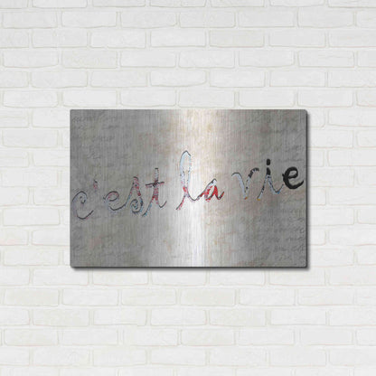 Luxe Metal Art 'C'est La Vie' by Karen Smith, Metal Wall Art,36x24