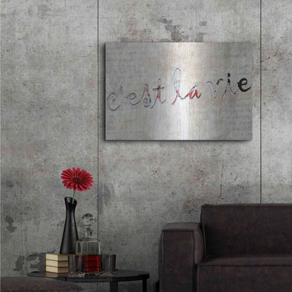 Luxe Metal Art 'C'est La Vie' by Karen Smith, Metal Wall Art,36x24