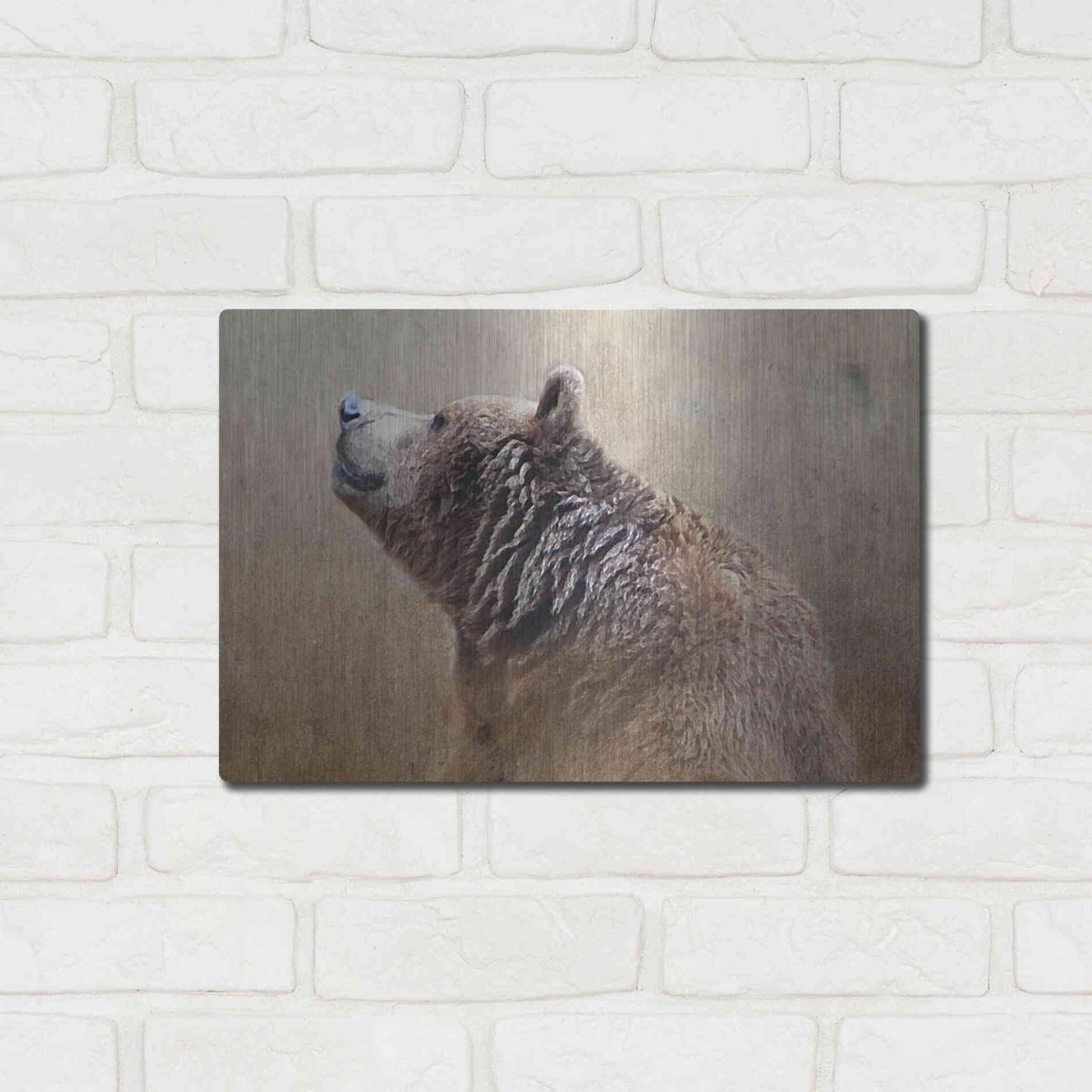 Luxe Metal Art 'Big Bear' by Karen Smith, Metal Wall Art,16x12