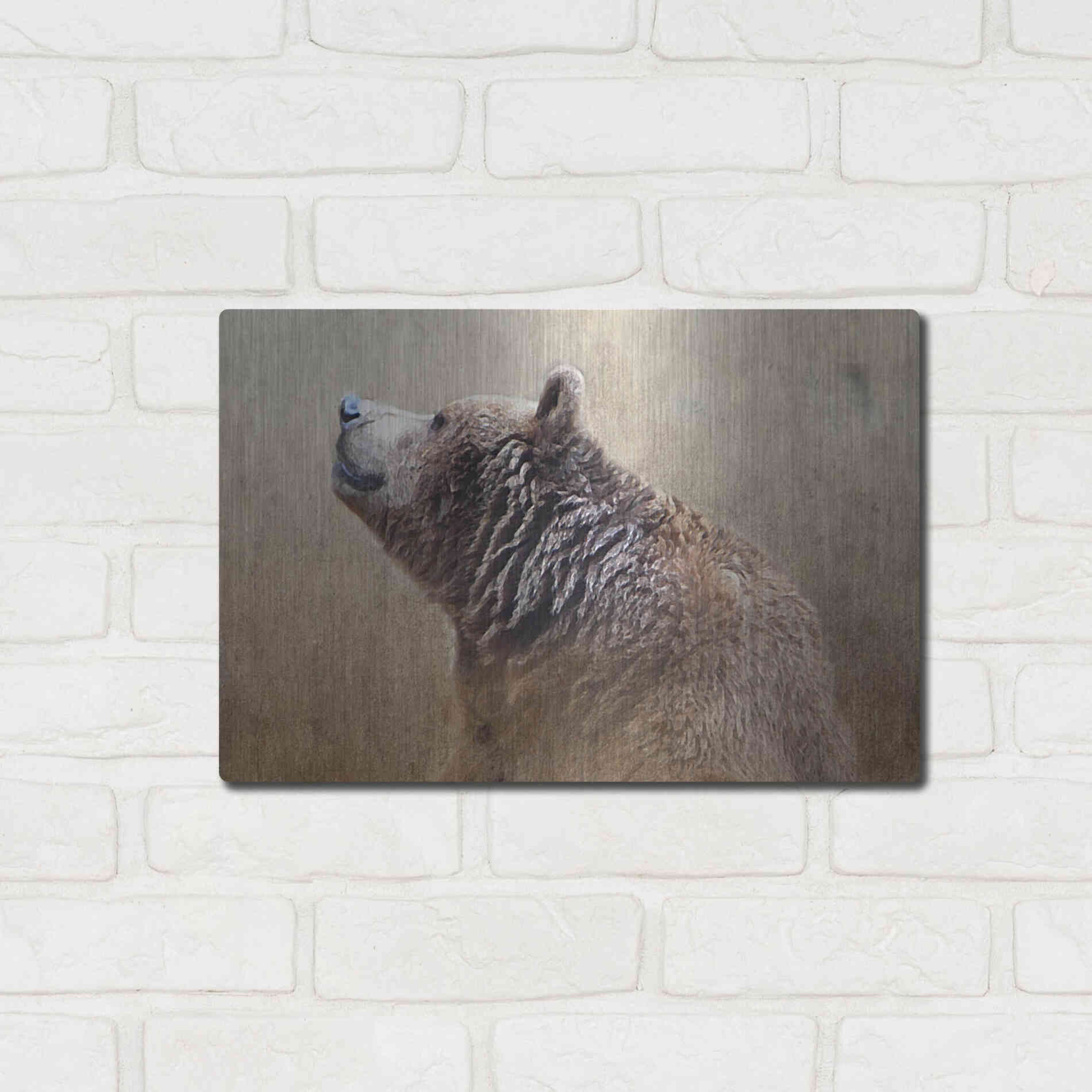 Luxe Metal Art 'Big Bear' by Karen Smith, Metal Wall Art,16x12