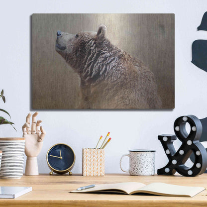 Luxe Metal Art 'Big Bear' by Karen Smith, Metal Wall Art,16x12