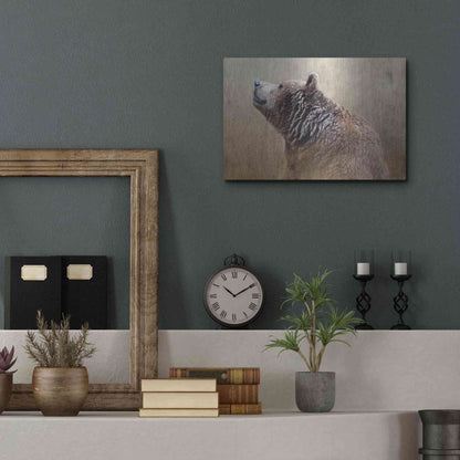 Luxe Metal Art 'Big Bear' by Karen Smith, Metal Wall Art,16x12