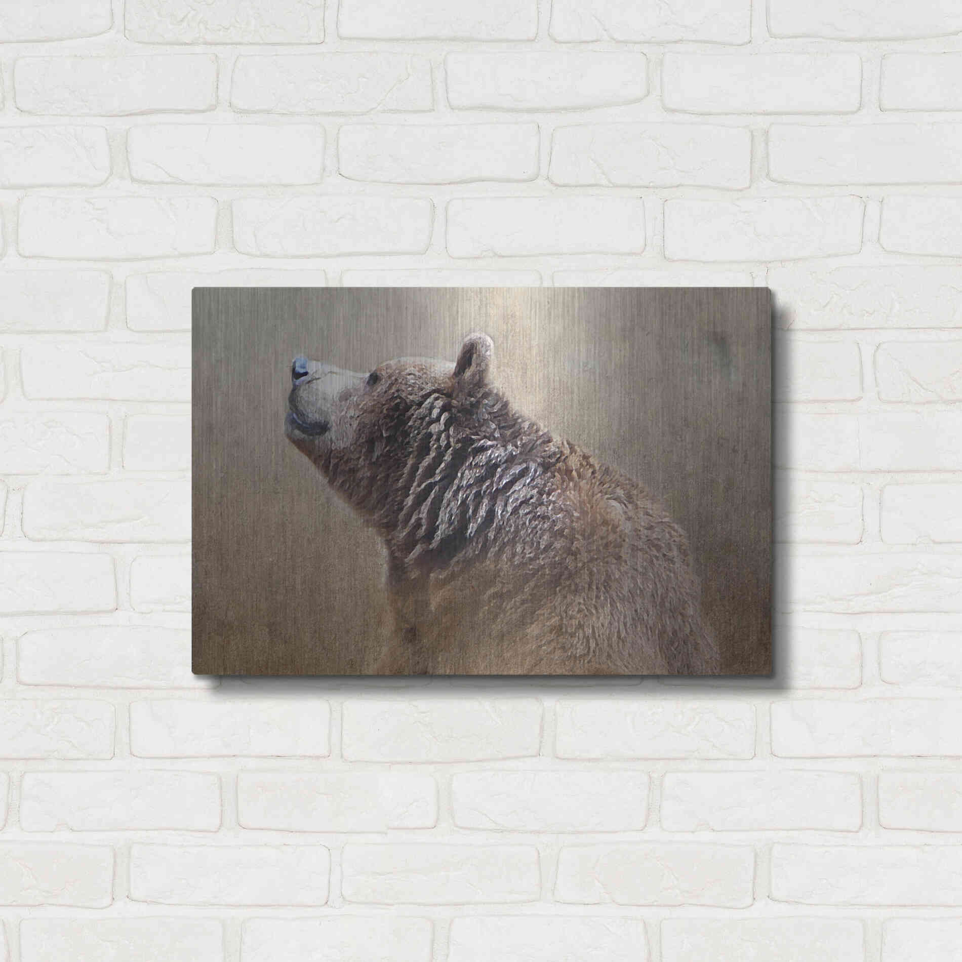 Luxe Metal Art 'Big Bear' by Karen Smith, Metal Wall Art,24x16
