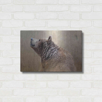 Luxe Metal Art 'Big Bear' by Karen Smith, Metal Wall Art,24x16