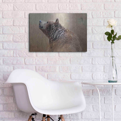 Luxe Metal Art 'Big Bear' by Karen Smith, Metal Wall Art,24x16