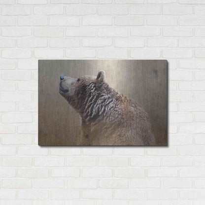 Luxe Metal Art 'Big Bear' by Karen Smith, Metal Wall Art,36x24