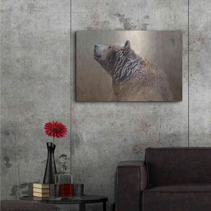 Luxe Metal Art 'Big Bear' by Karen Smith, Metal Wall Art,36x24