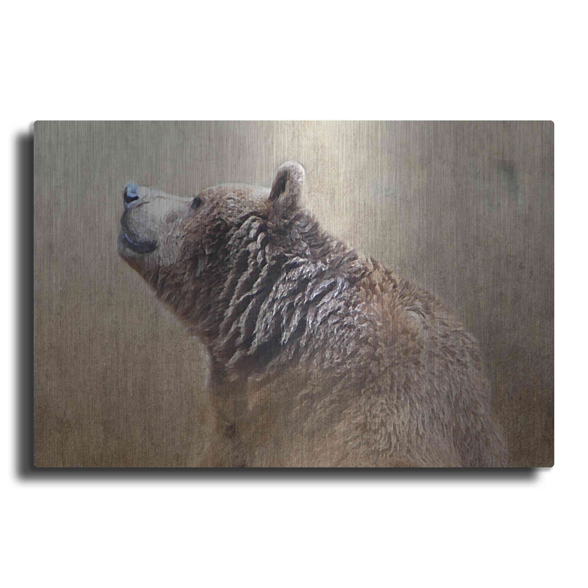 Luxe Metal Art 'Big Bear' by Karen Smith, Metal Wall Art