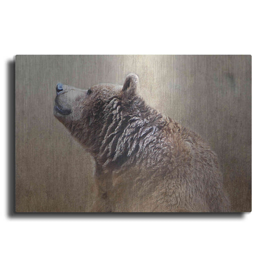 Luxe Metal Art 'Big Bear' by Karen Smith, Metal Wall Art