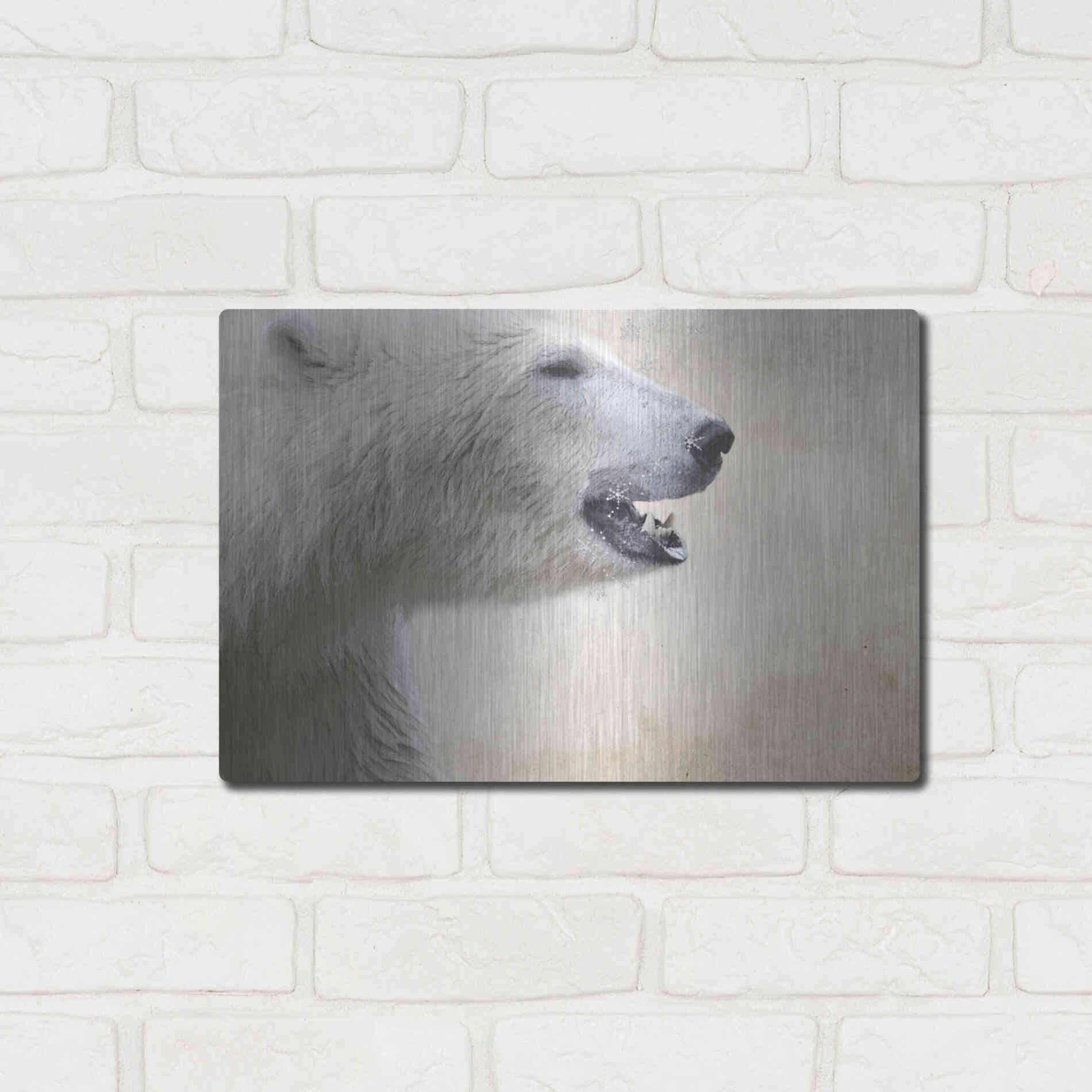 Luxe Metal Art 'Polar' by Karen Smith, Metal Wall Art,16x12