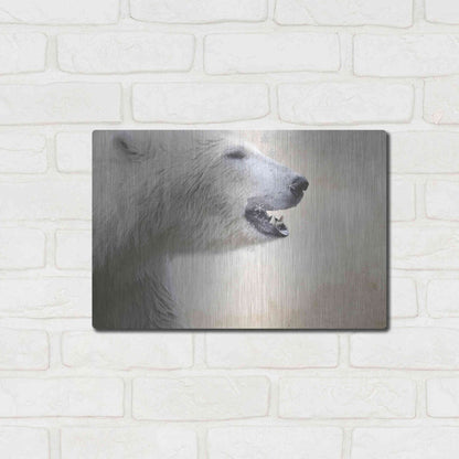 Luxe Metal Art 'Polar' by Karen Smith, Metal Wall Art,16x12