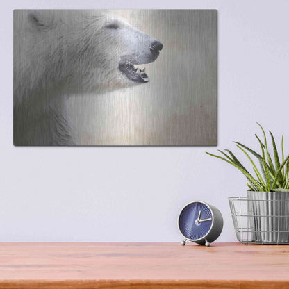 Luxe Metal Art 'Polar' by Karen Smith, Metal Wall Art,16x12