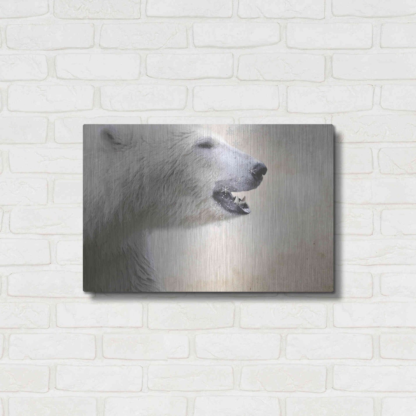 Luxe Metal Art 'Polar' by Karen Smith, Metal Wall Art,24x16