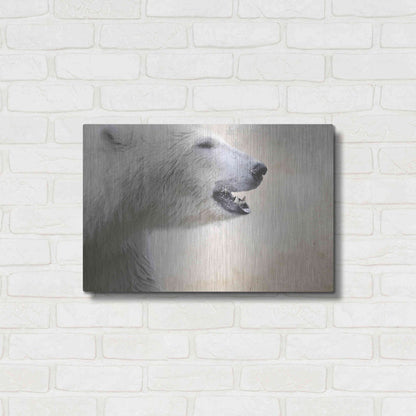 Luxe Metal Art 'Polar' by Karen Smith, Metal Wall Art,24x16