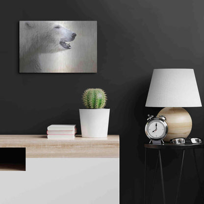 Luxe Metal Art 'Polar' by Karen Smith, Metal Wall Art,24x16