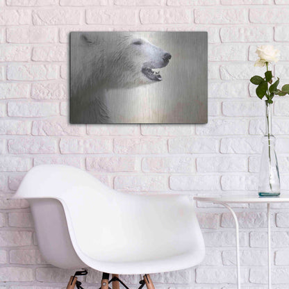 Luxe Metal Art 'Polar' by Karen Smith, Metal Wall Art,24x16