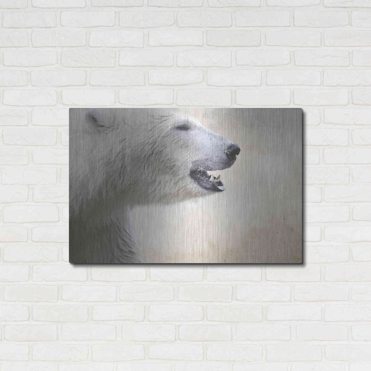 Luxe Metal Art 'Polar' by Karen Smith, Metal Wall Art,36x24