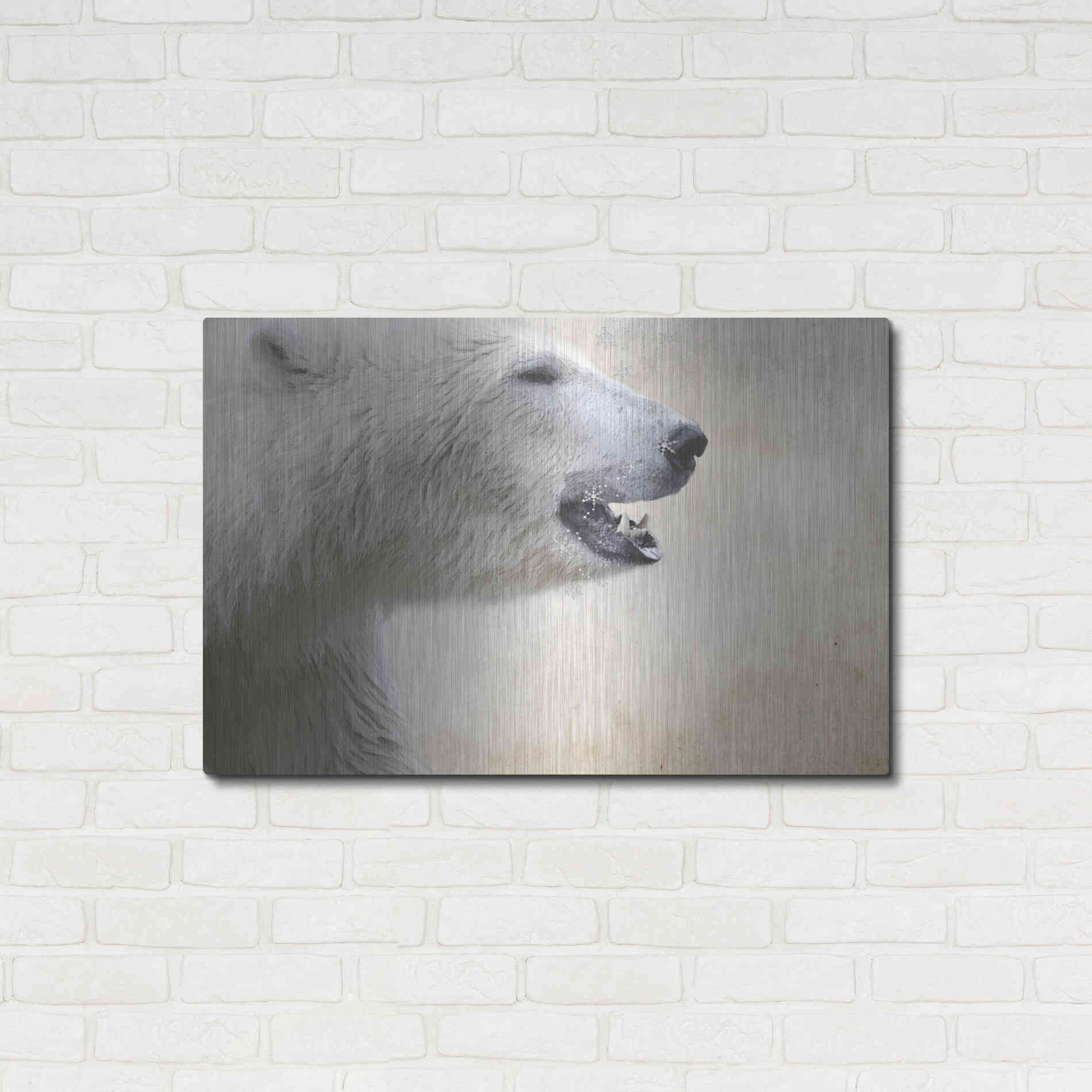Luxe Metal Art 'Polar' by Karen Smith, Metal Wall Art,36x24