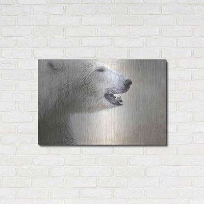 Luxe Metal Art 'Polar' by Karen Smith, Metal Wall Art,36x24
