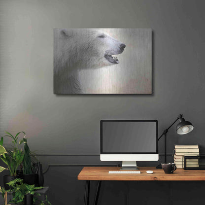 Luxe Metal Art 'Polar' by Karen Smith, Metal Wall Art,36x24