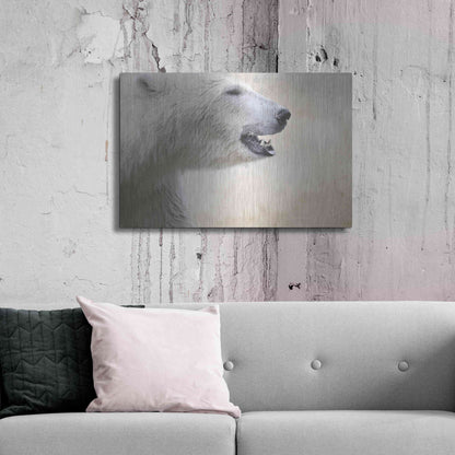 Luxe Metal Art 'Polar' by Karen Smith, Metal Wall Art,36x24