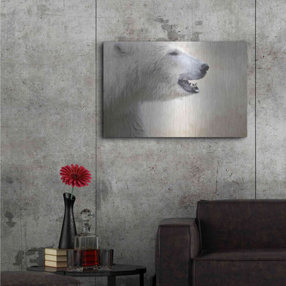 Luxe Metal Art 'Polar' by Karen Smith, Metal Wall Art,36x24