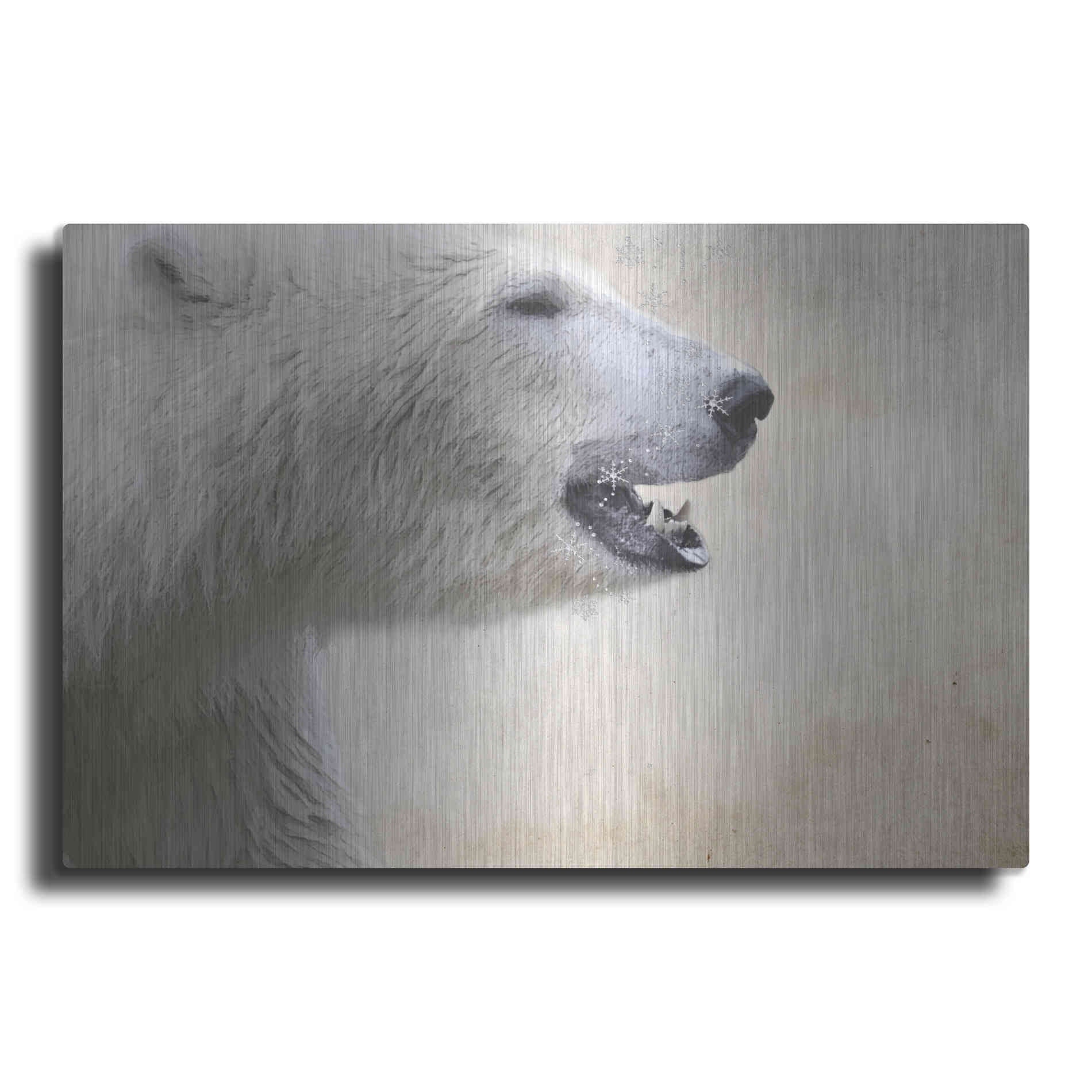 Luxe Metal Art 'Polar' by Karen Smith, Metal Wall Art
