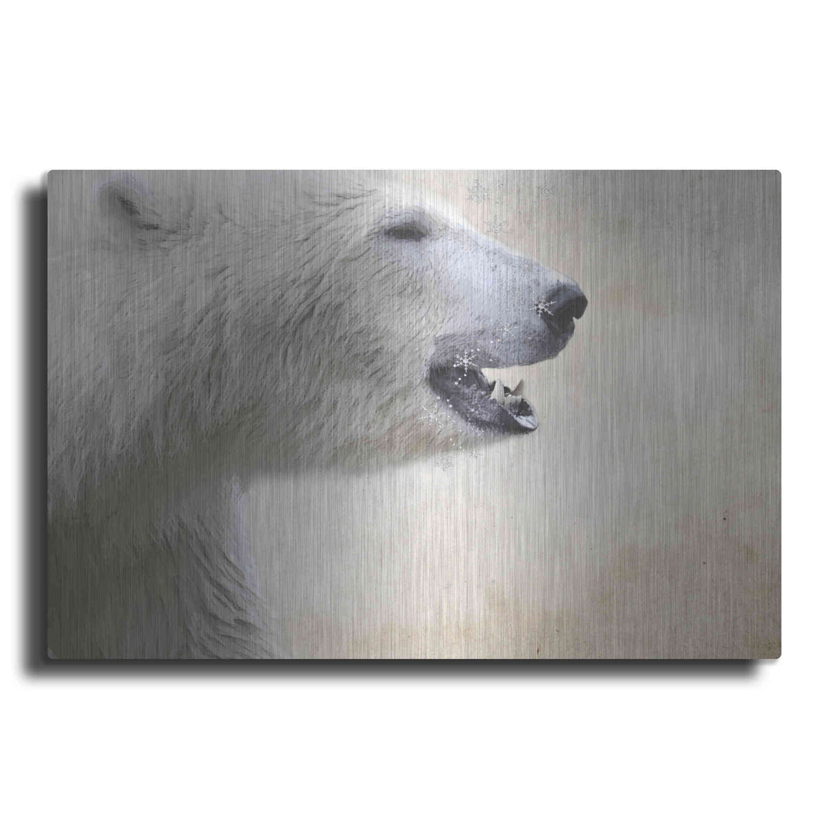Luxe Metal Art 'Polar' by Karen Smith, Metal Wall Art