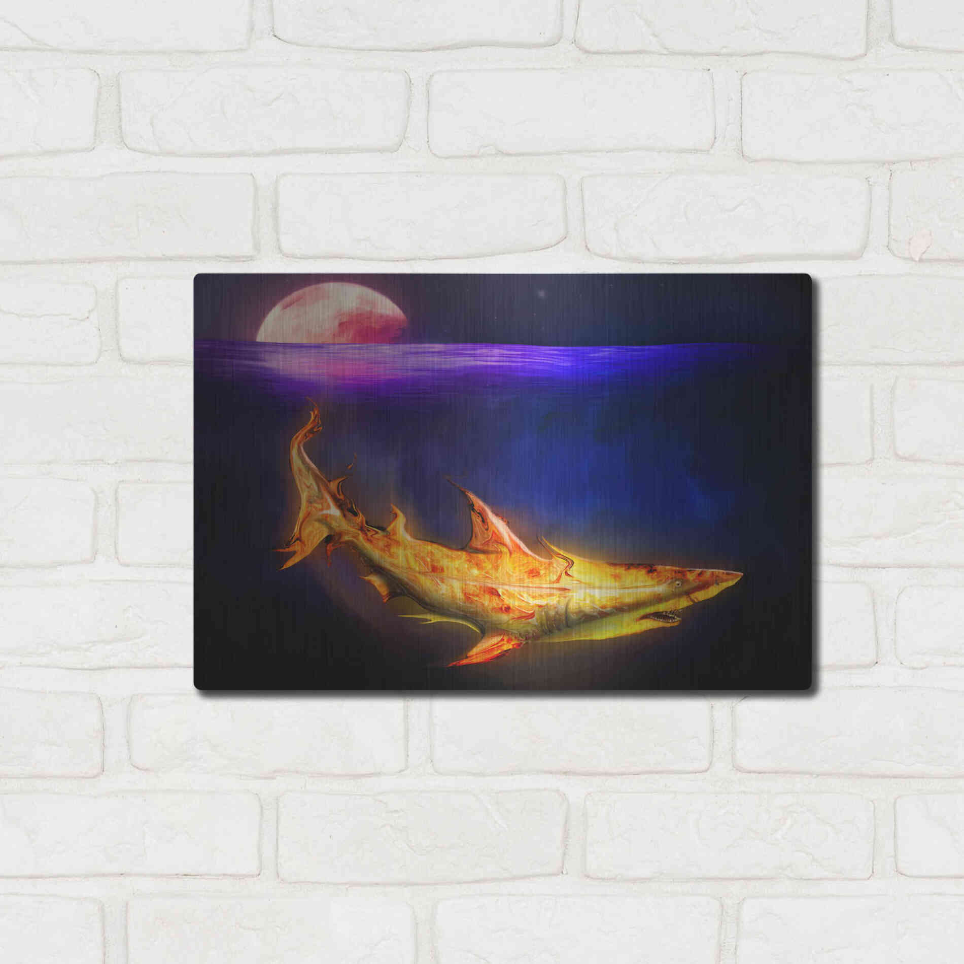 Luxe Metal Art 'Mako Shark' by Michael StewArt, Metal Wall Art,16x12