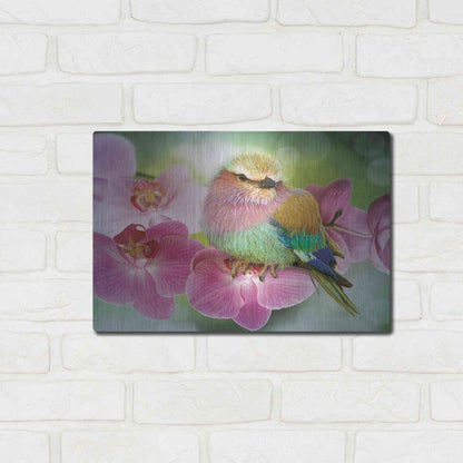 Luxe Metal Art 'Pretty Boy' by Steve Hunziker, Metal Wall Art,16x12