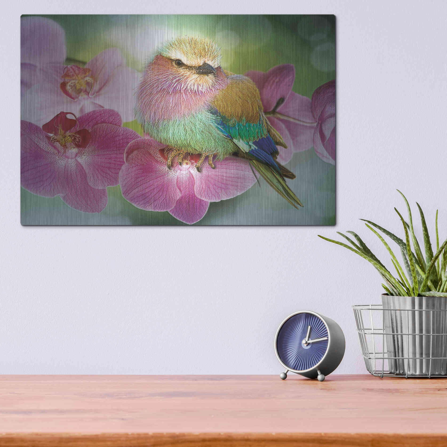 Luxe Metal Art 'Pretty Boy' by Steve Hunziker, Metal Wall Art,16x12