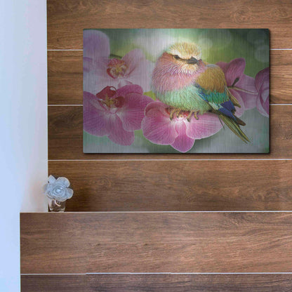 Luxe Metal Art 'Pretty Boy' by Steve Hunziker, Metal Wall Art,16x12