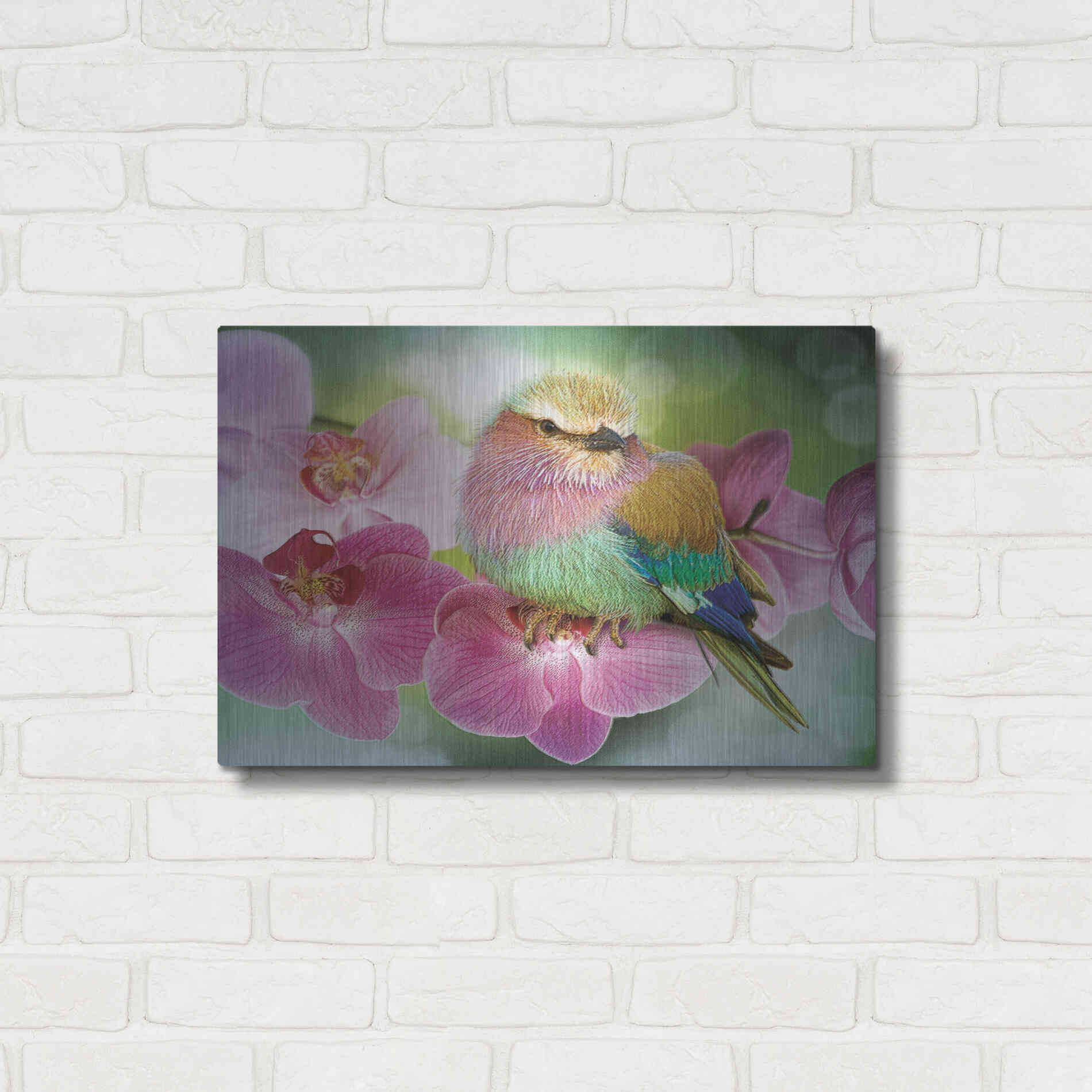 Luxe Metal Art 'Pretty Boy' by Steve Hunziker, Metal Wall Art,24x16