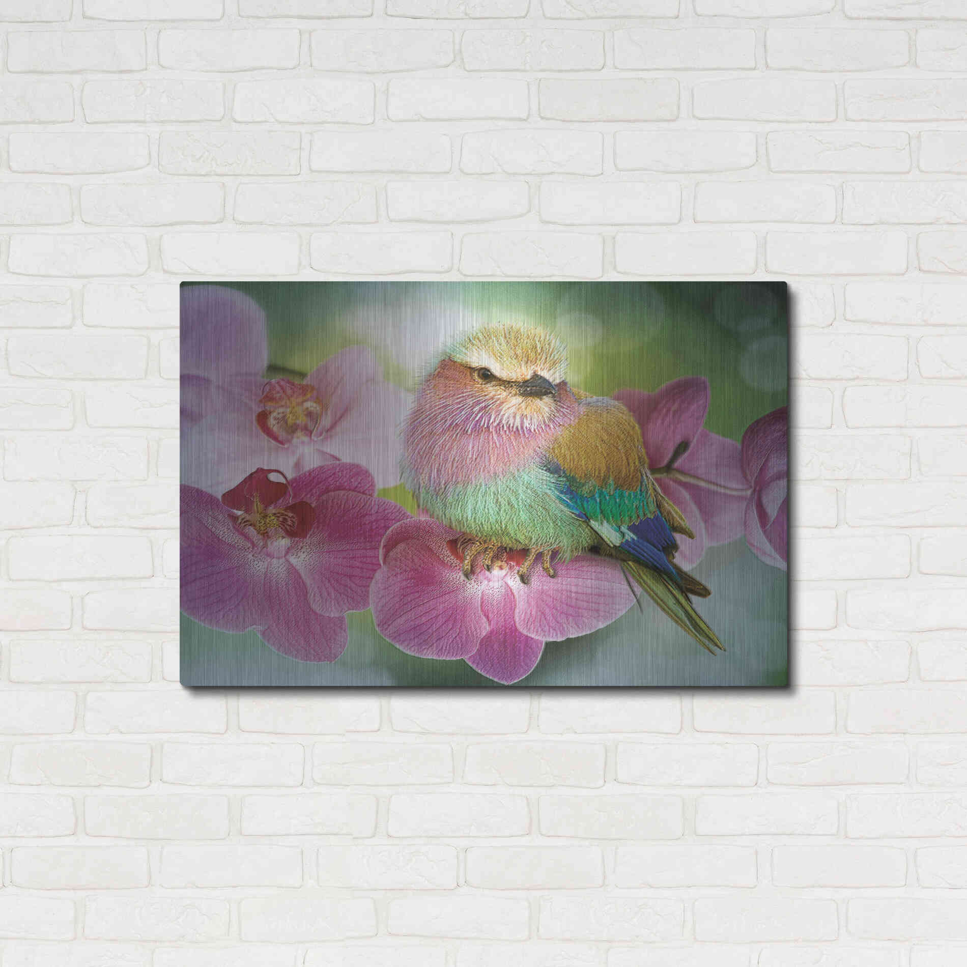 Luxe Metal Art 'Pretty Boy' by Steve Hunziker, Metal Wall Art,36x24