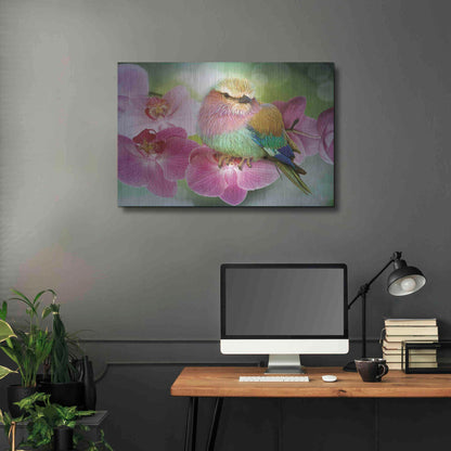 Luxe Metal Art 'Pretty Boy' by Steve Hunziker, Metal Wall Art,36x24