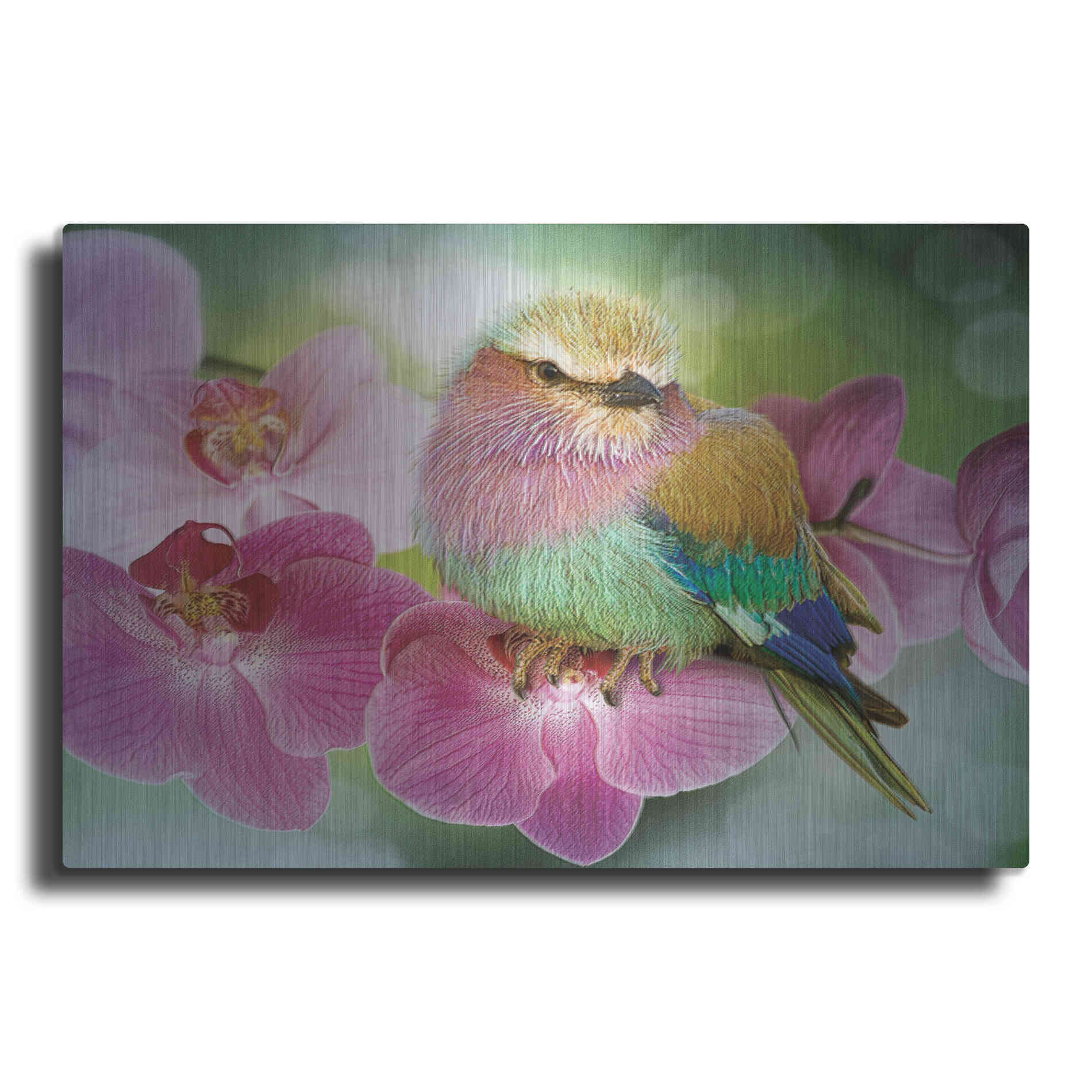 Luxe Metal Art 'Pretty Boy' by Steve Hunziker, Metal Wall Art