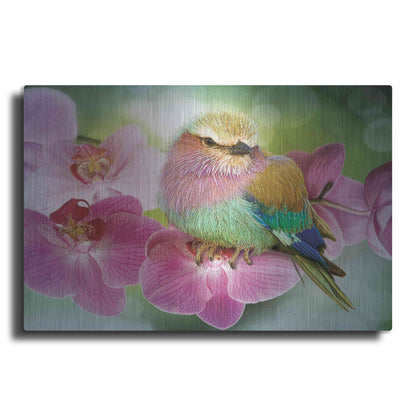 Luxe Metal Art 'Pretty Boy' by Steve Hunziker, Metal Wall Art