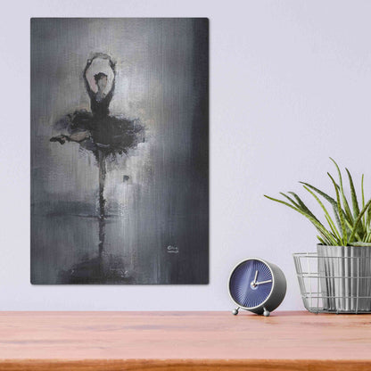 Luxe Metal Art 'Prima Donna' by Oscar Alvarez Pardo, Metal Wall Art,12x16