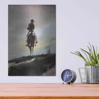 Luxe Metal Art 'Mild' by Oscar Alvarez Pardo, Metal Wall Art,12x16