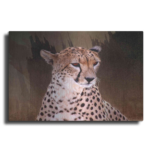 Luxe Metal Art 'Wildness Cheetah' by Karen Smith, Metal Wall Art