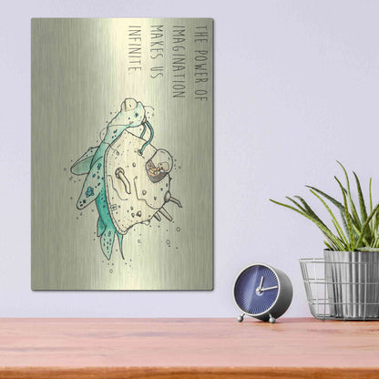 Luxe Metal Art 'Imagination' by Craig Snodgrass, Metal Wall Art,12x16