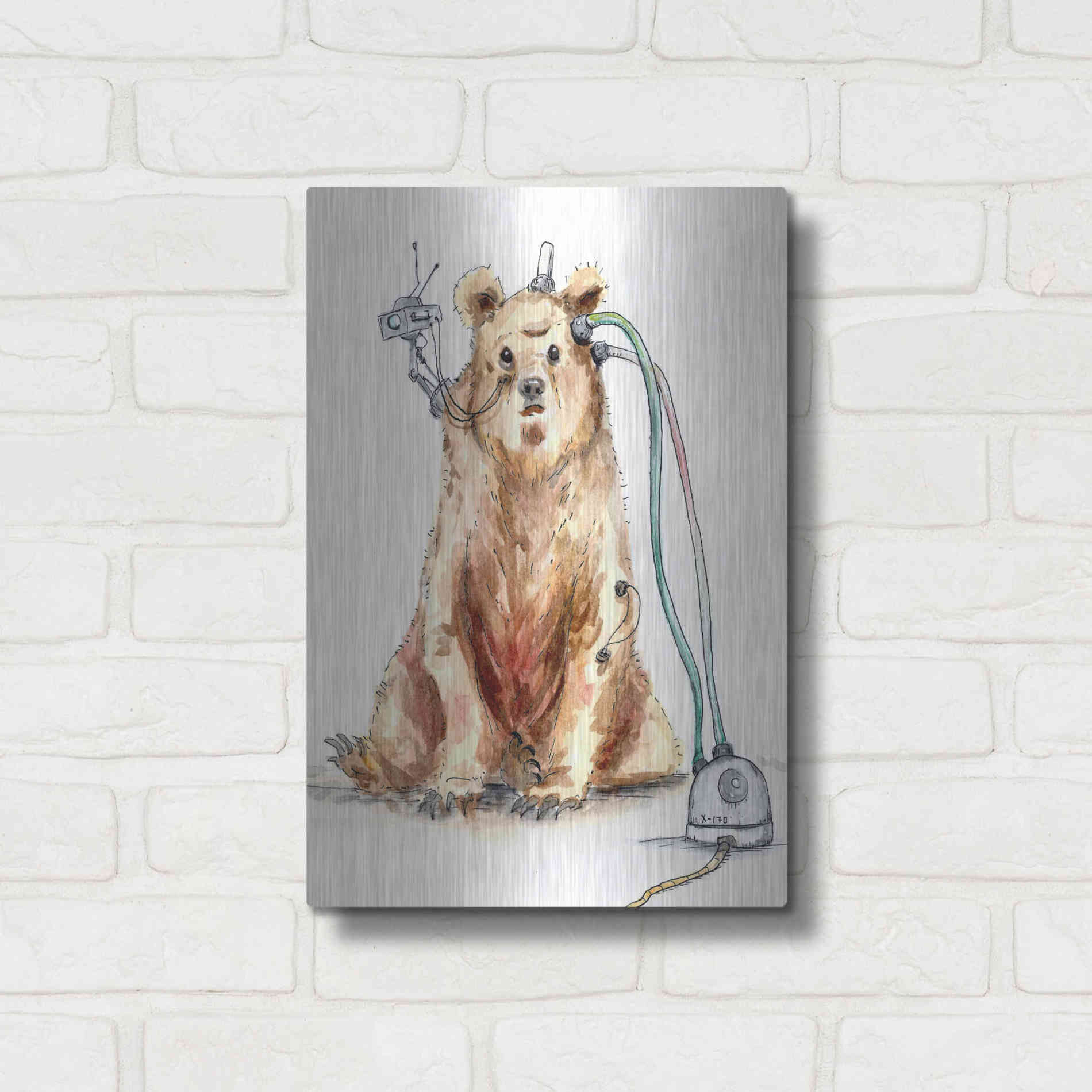 Luxe Metal Art 'Ruxpin' by Craig Snodgrass, Metal Wall Art,12x16