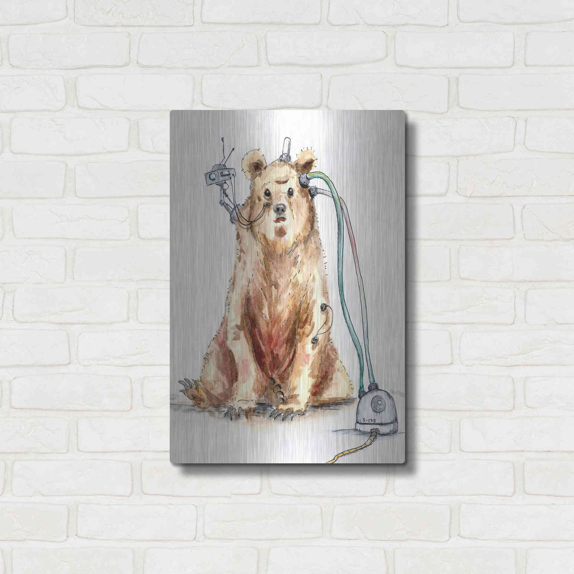 Luxe Metal Art 'Ruxpin' by Craig Snodgrass, Metal Wall Art,16x24