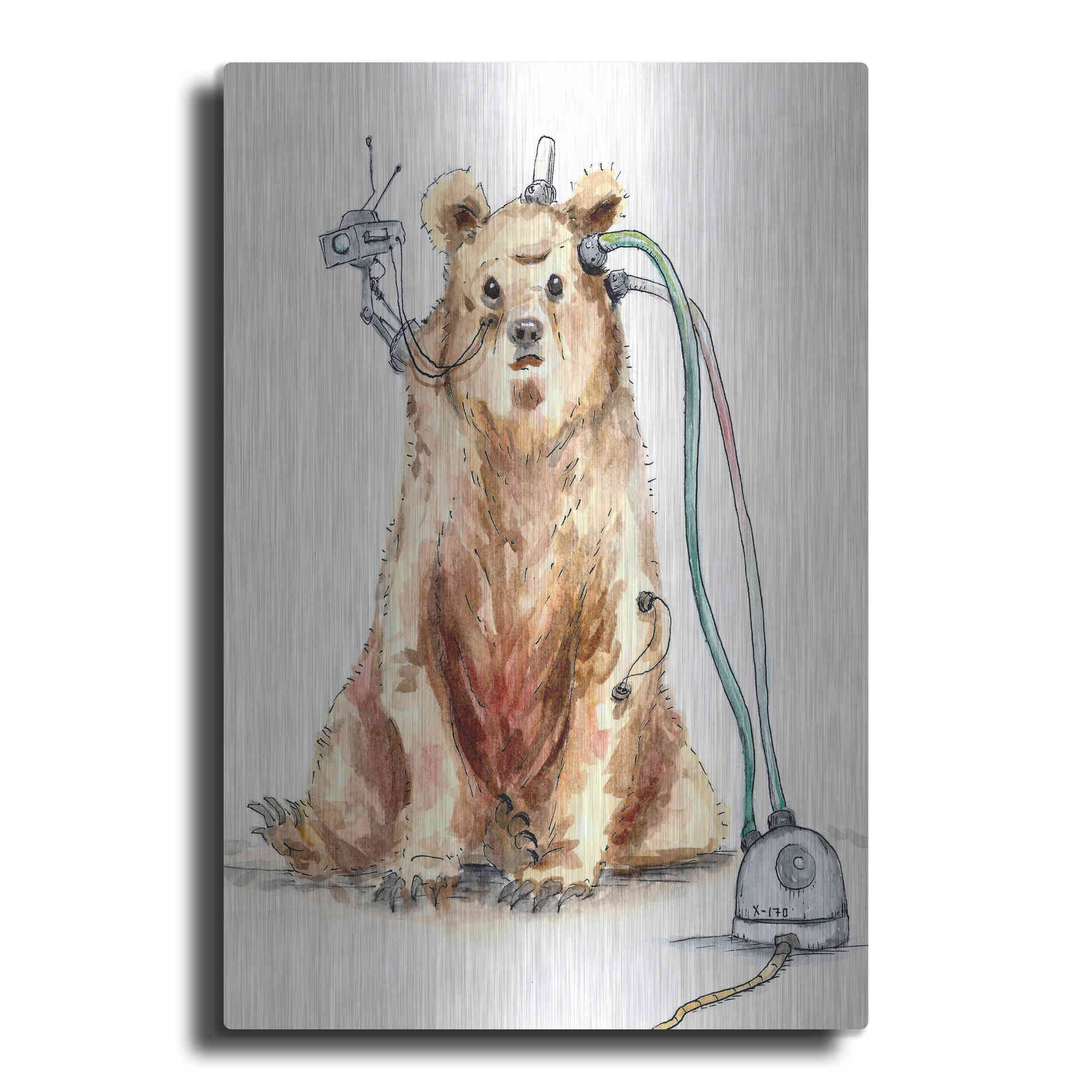 Luxe Metal Art 'Ruxpin' by Craig Snodgrass, Metal Wall Art
