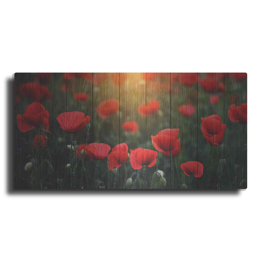 Luxe Metal Art 'Wood Series: Field of Poppies', Metal Wall Art,2:1 L