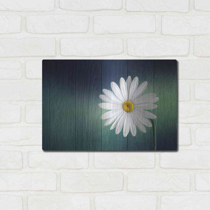 Luxe Metal Art 'Wood Series: A Daisy', Metal Wall Art,16x12