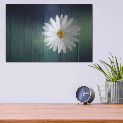 Luxe Metal Art 'Wood Series: A Daisy', Metal Wall Art,16x12