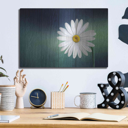 Luxe Metal Art 'Wood Series: A Daisy', Metal Wall Art,16x12