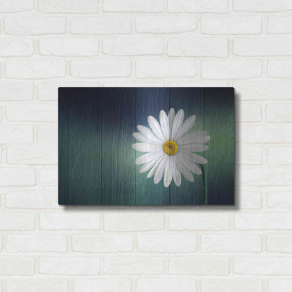 Luxe Metal Art 'Wood Series: A Daisy', Metal Wall Art,24x16